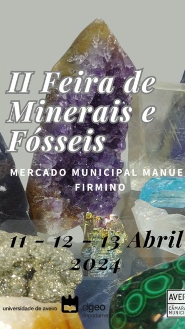 feira_minerais_fosseis_2024