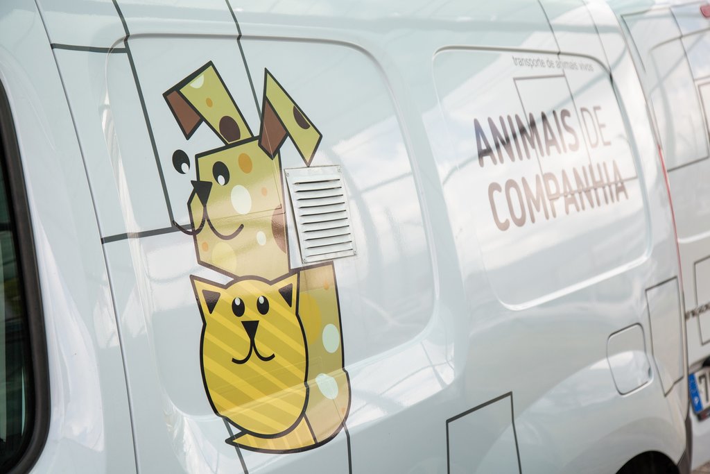 Viatura de transporte Animais de Companhia