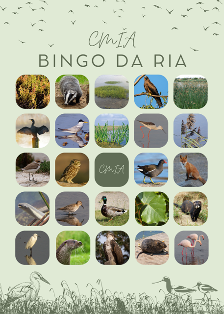 bingo_da_ria_2