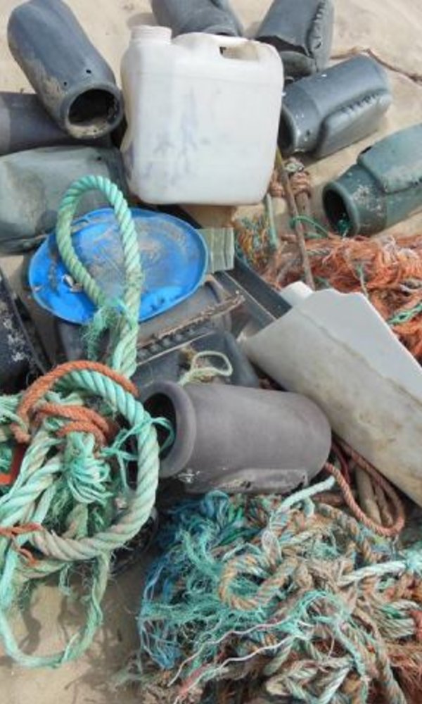 Limpeza da praia 1 600 1000