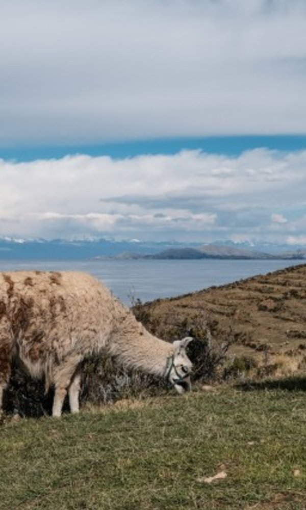 Exposicao 1 600 1000