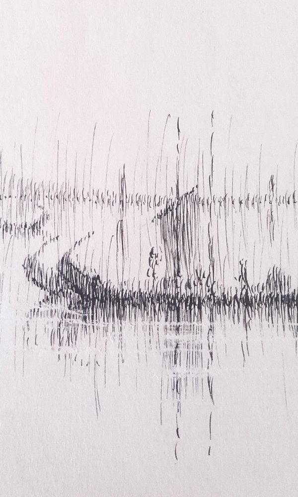 Artedesenho 1 600 1000