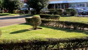 jardim_hospital_aveiro