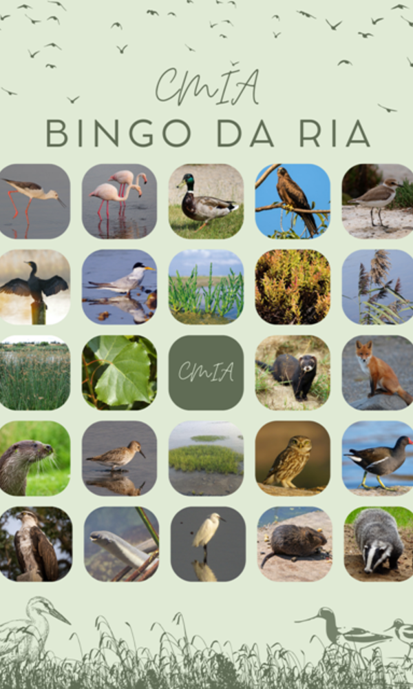 bingo_da_ria_1