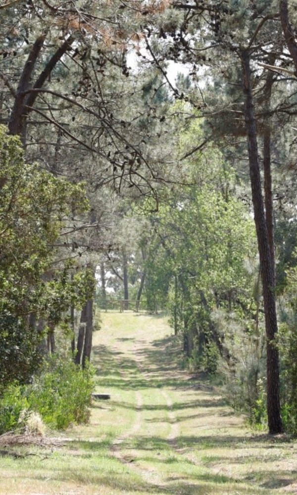 reserva_1