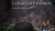 expocelsus_rs_story