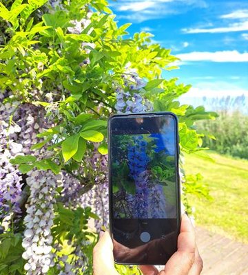 natureza_num_clique_1