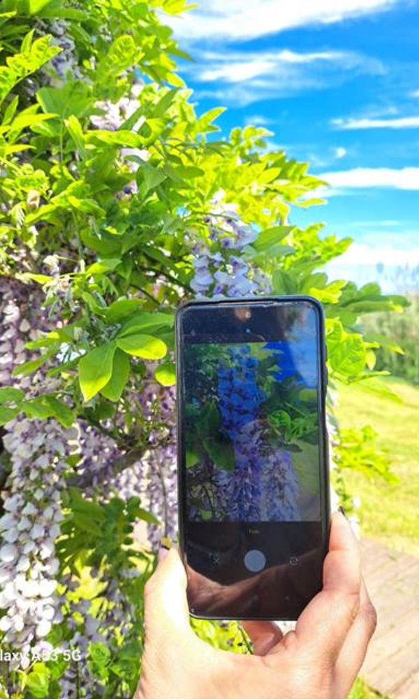 natureza_num_clique_1