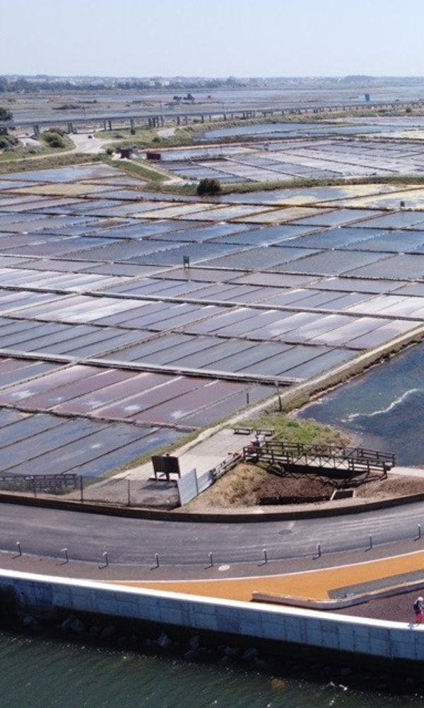 marinhas