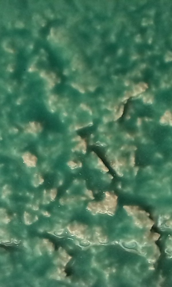 ecos_fissuras_e_mundos_nas_maos_ana_amaral