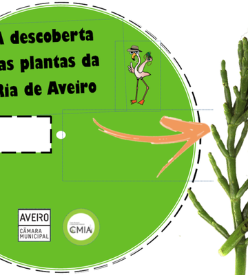 roda_das_plantas_
