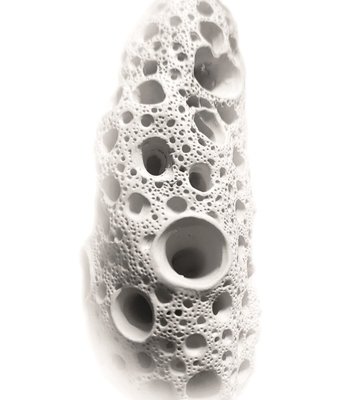 terra_soprada_rqm_02