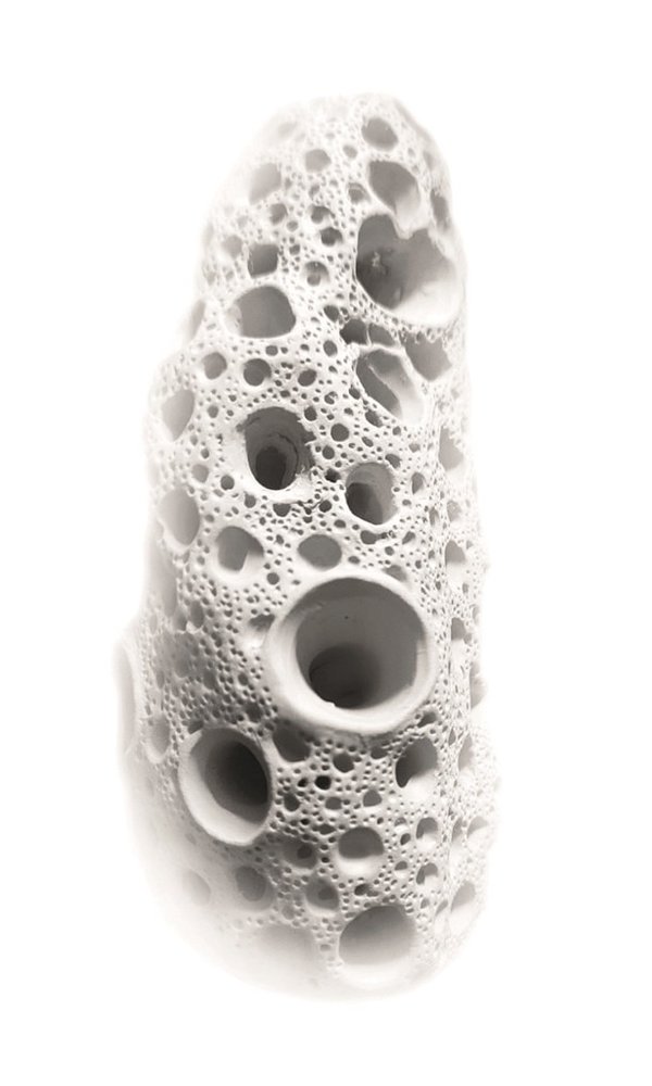 terra_soprada_rqm_02