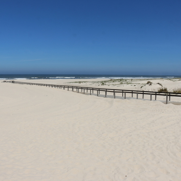 Praia de São Jacinto2