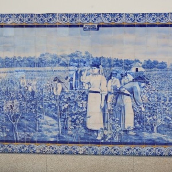 Azulejo