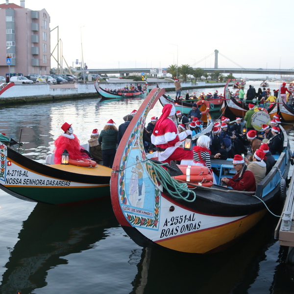 Barcos Moliceiro