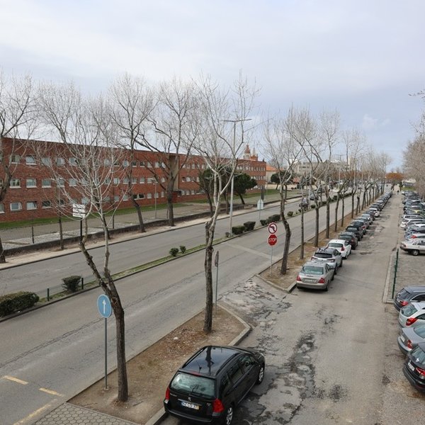 Avenida Universidade [antes]