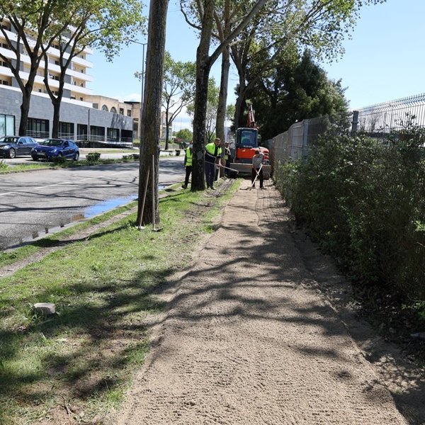 Avenida Universidade [durante]