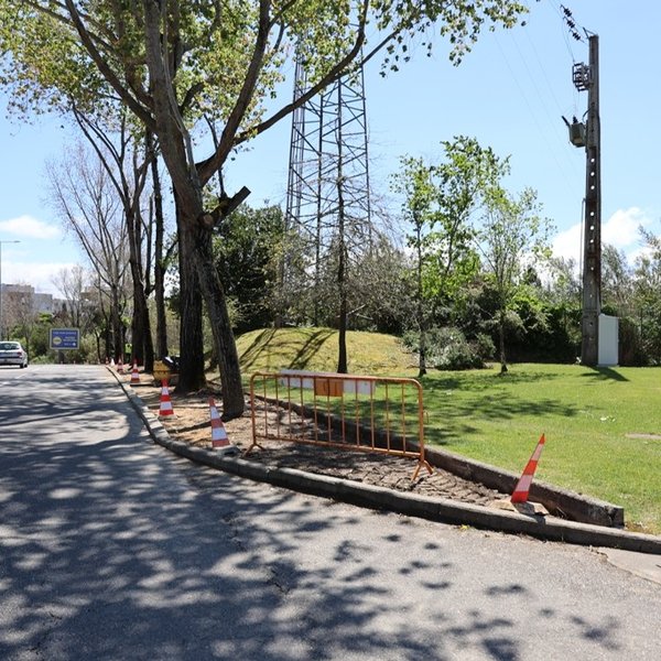 Avenida Universidade [durante]