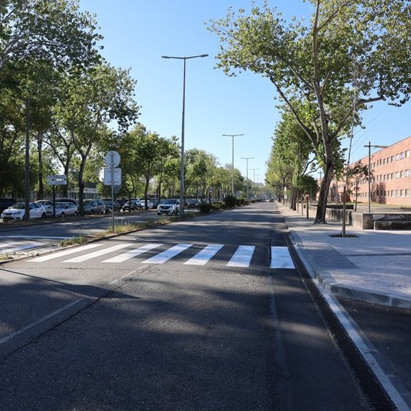 Avenida Universidade [depois]