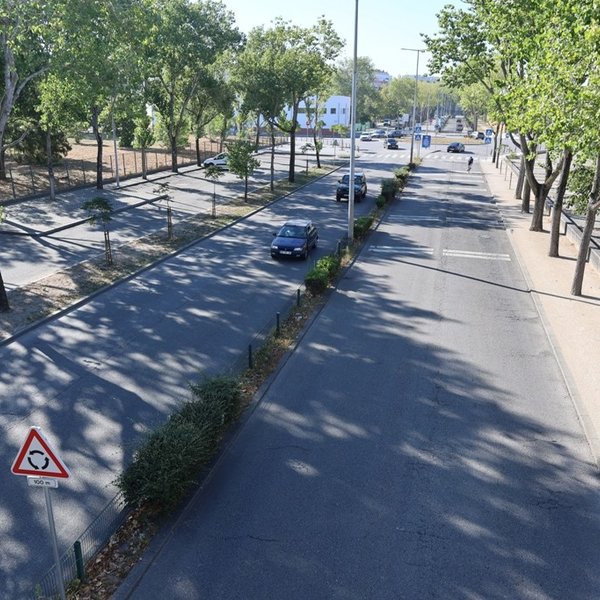 Avenida Universidade [depois]