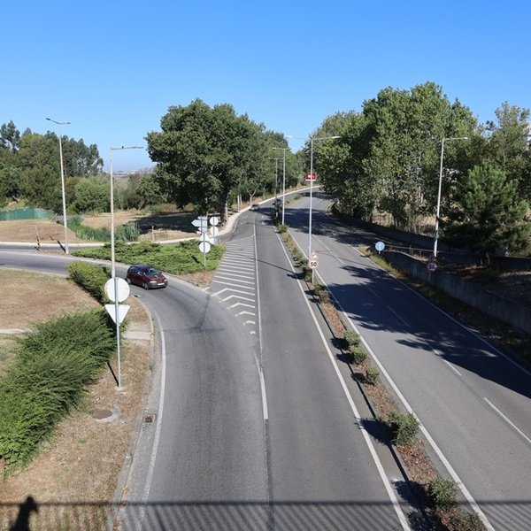 Avenida Universidade [depois]