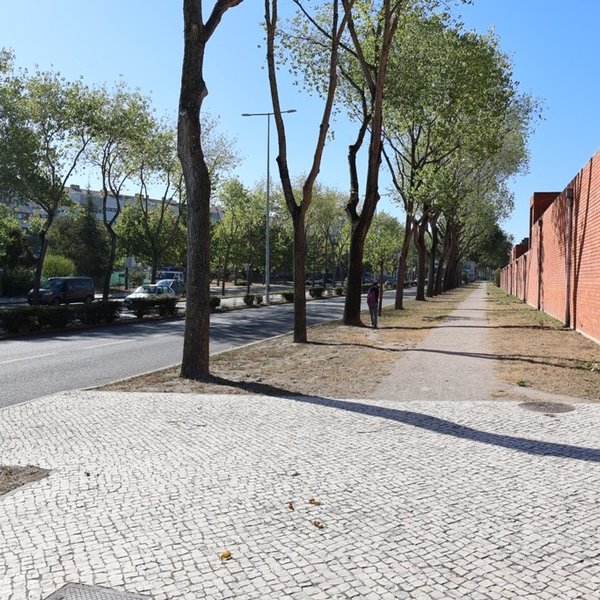 Avenida Universidade [depois]