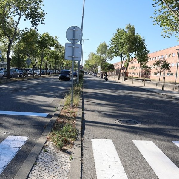 Avenida Universidade [depois]