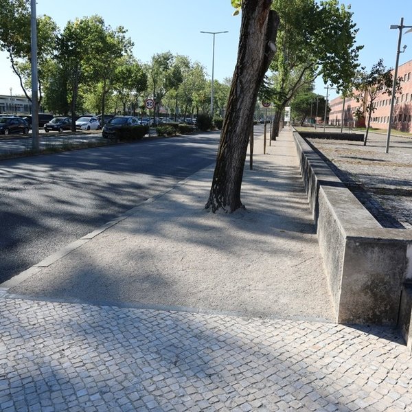 Avenida Universidade [depois]