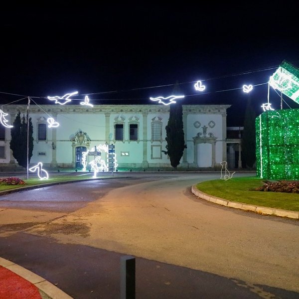 Boas Festas em Aveiro 2023/2024
