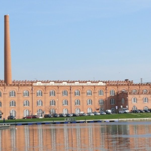 p1190994