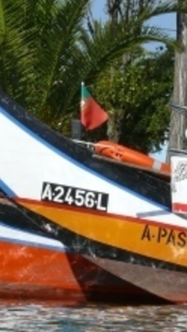 xpq5faaxx41983agdb9zmjjezku