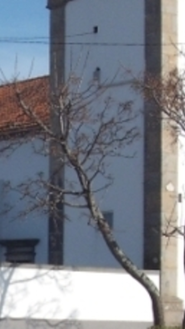 xpq5faaxx42399agdb9zmjjezku