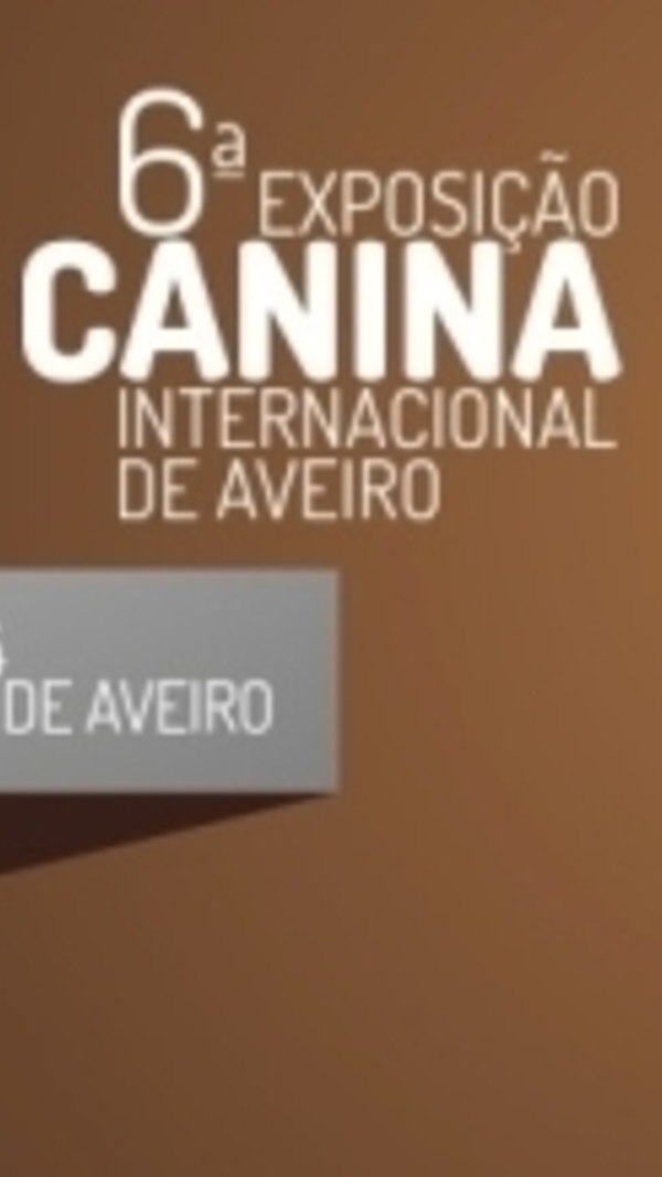 xpq5faaxx44004agdb9zmjjezku