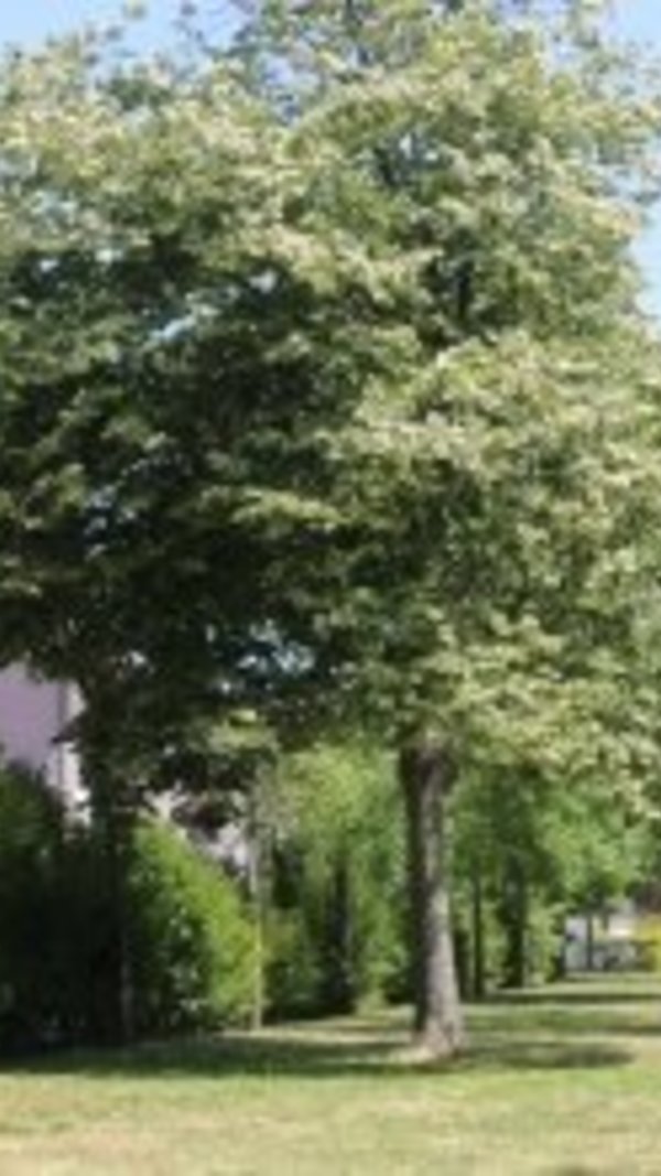 xpq5faaxx55187agdb9zmjjezku