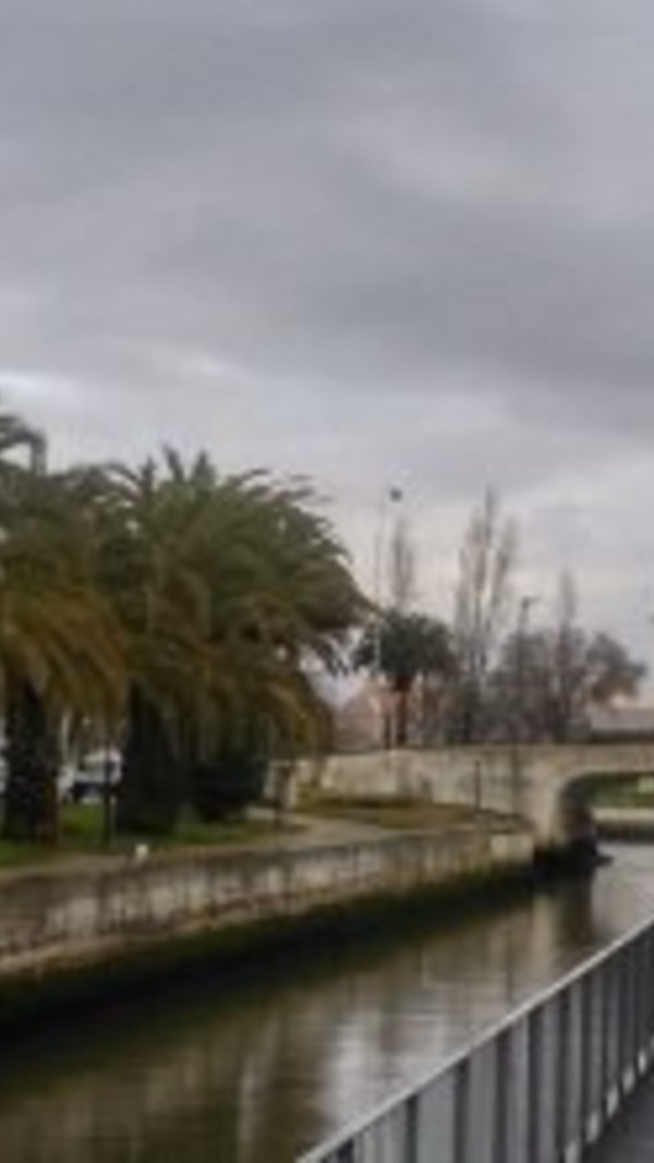 xpq5faaxx55584agdb9zmjjezku