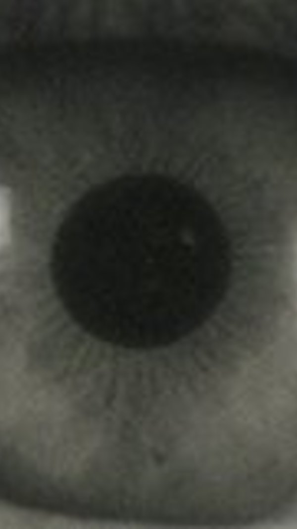 xpq5faaxx58168agdb9zmjjezku