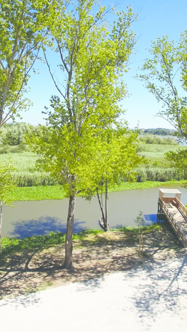 13_parque_de_requeixo_a01