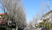 av25abril_1_1024_2500