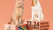 cartaz_vs_net_exposicao_canina_e_felina_2023