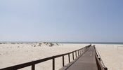 _mg_2911