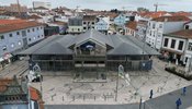 dji_fly_20250124_163200_435_1737736522546_photo