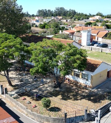 dji_0431
