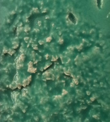 cartaz_ecos_fissuras_e_mundos_nas_maos_ana_amaral