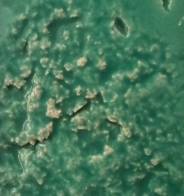 cartaz_ecos_fissuras_e_mundos_nas_maos_ana_amaral