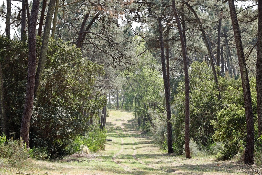 reserva_2