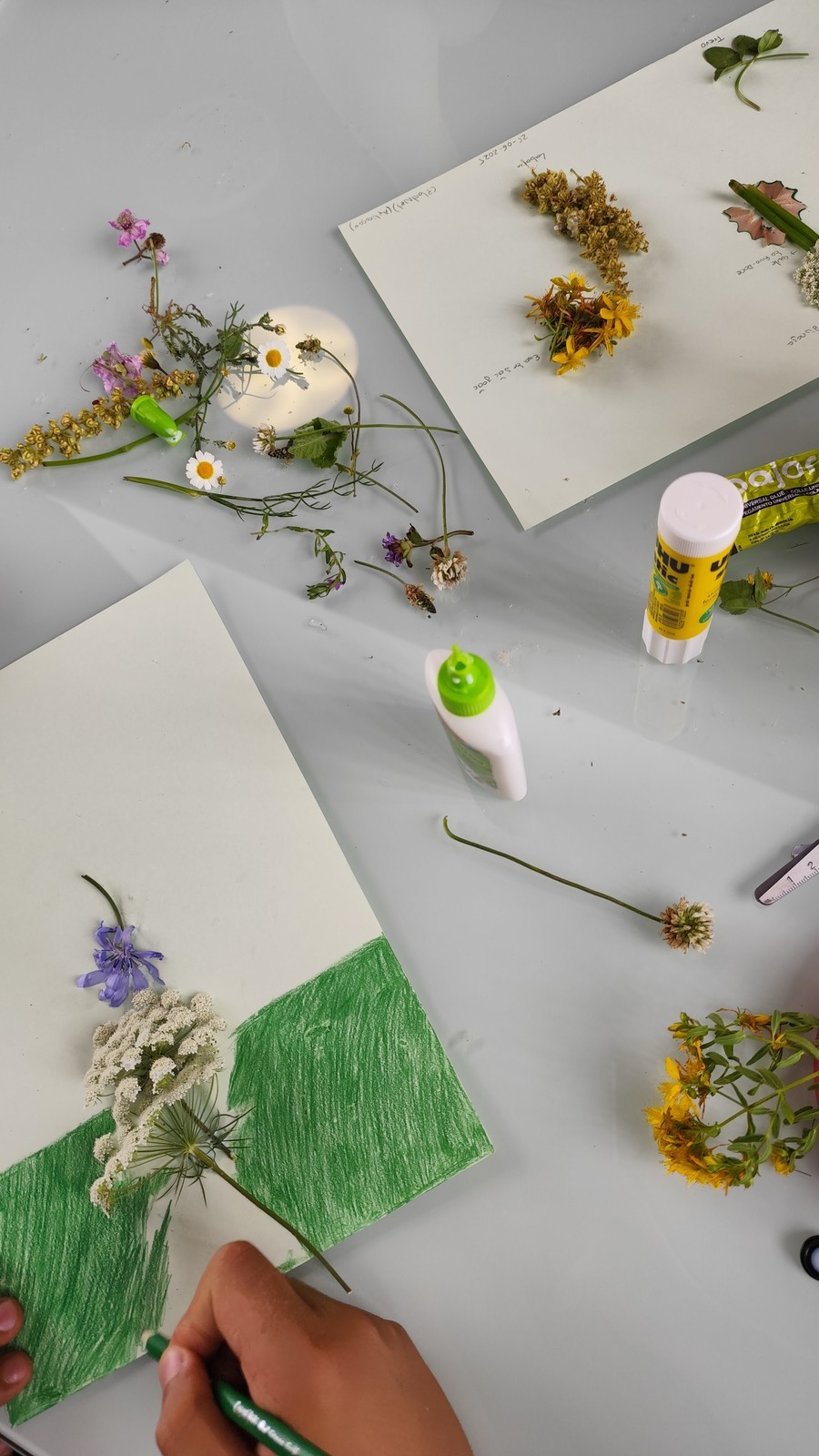 natureza_no_papel_2