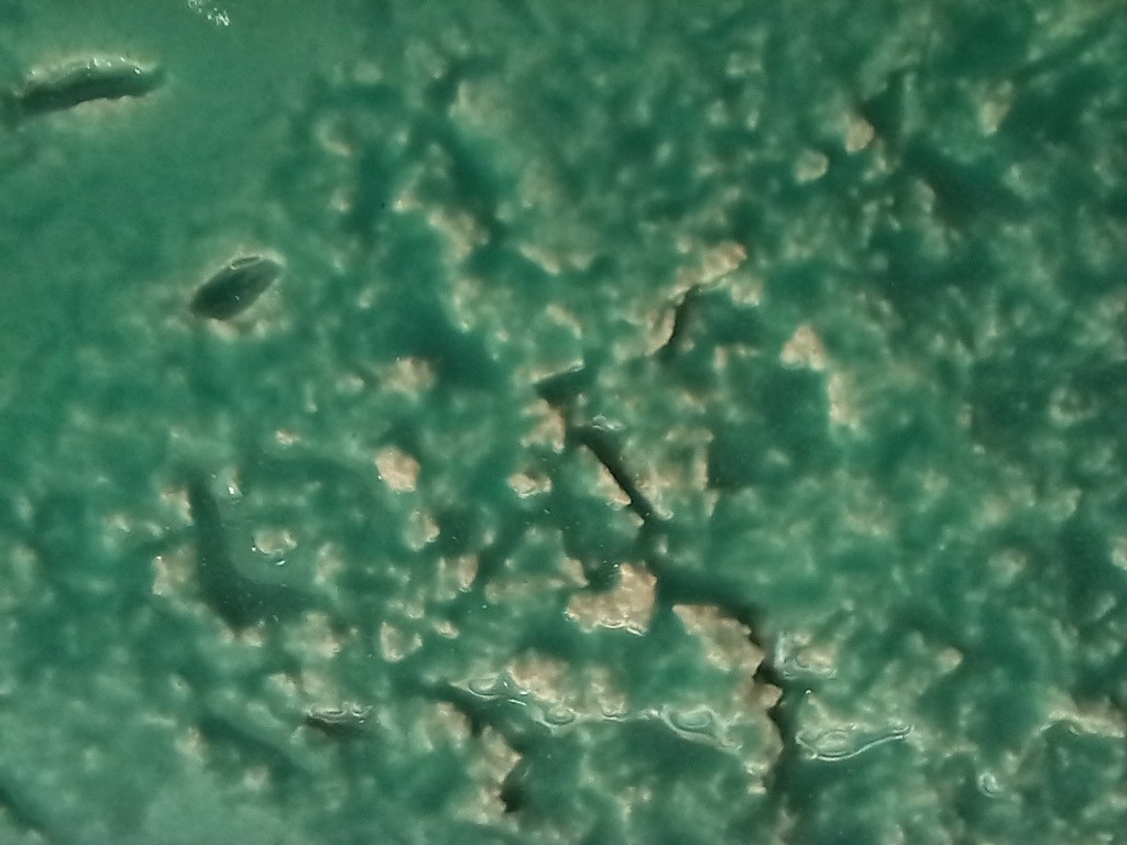 ecos_fissuras_e_mundos_nas_maos_ana_amaral