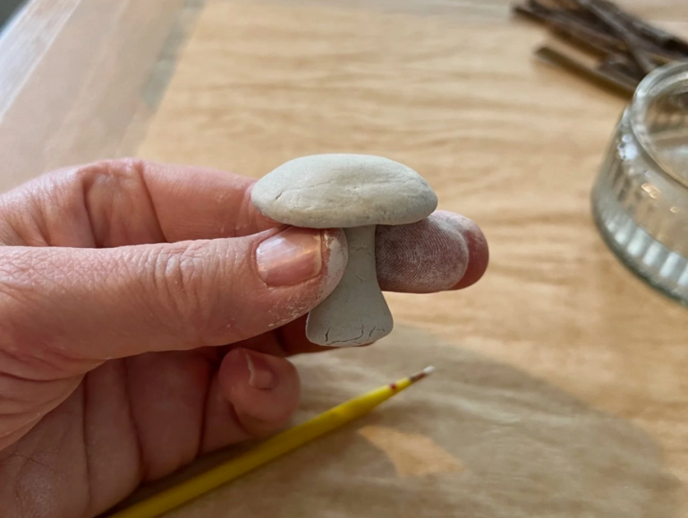 cogumelo_de_barro_2