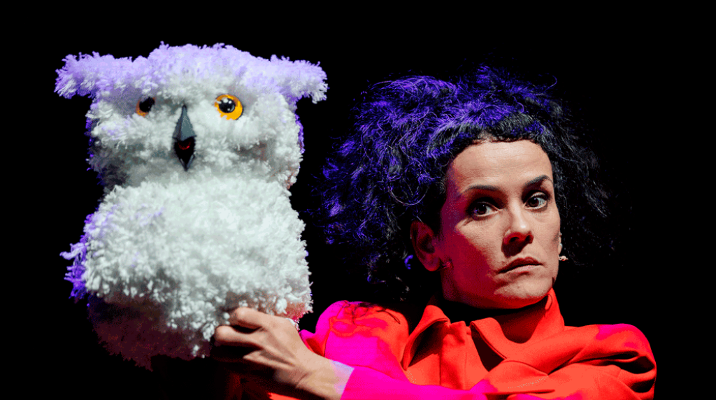 hansel_e_gretel_red_cloud_marionetas_2